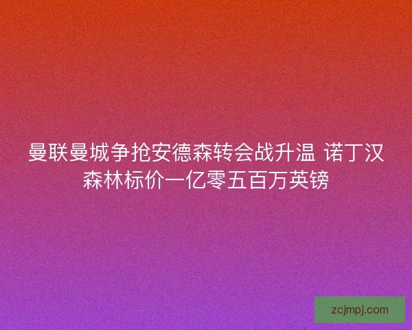 曼联曼城争抢安德森转会战升温 诺丁汉森林标价一亿零五百万英镑